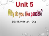 人教新目标(Go for it)版七年级英语下册Unit 5 Why do you like pandas？SectionB 2a-2c教学课件（18张ppt）