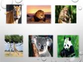 人教新目标(Go for it)版七年级英语下册Unit 5 Why do you like pandas？SectionB 2a-2c教学课件（18张ppt）