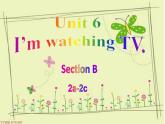 Unit 6 I'm watching TV Section B 2a-2c 课件(共23张PPT)
