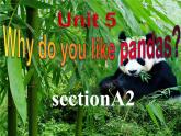 人教新目标(Go for it)版七年级下Unit 5 Why do you like pandas_ Section A 2d-3c课件（18张ppt）