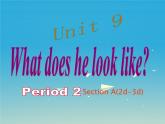Unit 9 What does he look like  Section A （2d-3d）课件（18张ppt）