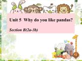 Unit 5 Why do you like pandas_ Section B(2a-3b) 课件21张