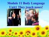 2020-2021学年外研版七年级英语下册Module11Unit1Theytouchnoses!课件