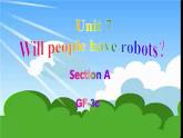 Unit 7 Will people have robots_ Section A Grammar Focus-3c课件(共28张PPT)