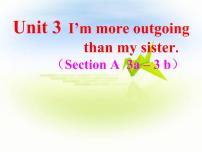 初中英语人教新目标 (Go for it) 版八年级上册Section A教学演示ppt课件