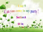 Unit 9 Can you come to my party_ Section A Grammar focus-3c 课件（共有PPT24张）