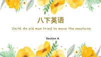 英语Section A教学演示课件ppt