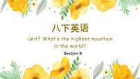 人教新目标 (Go for it) 版八年级下册Section B多媒体教学课件ppt