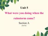 Unit 5 What were you doing when the rainstorm came_ Section A (3a-3c)-课件（16张PPT）