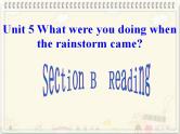 Unit 5 What were you doing when the rainstorm came？Section B Reading （课件）(共有PPT15张）