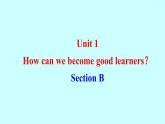 Unit 1 How can we become good learners？ Section B 知识点练习课件