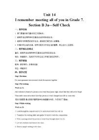 人教新目标 (Go for it) 版九年级全册Section B教案