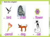 外研版英语七年级上Module 3 My school Unit 1 There are thirty students in my class.课件（19张PPT无素材）