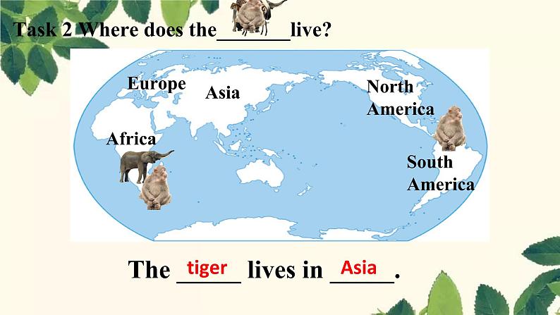 Module 6 A trip to the zoo Unit 2 The tiger lives in Asia.课件13张 音频02