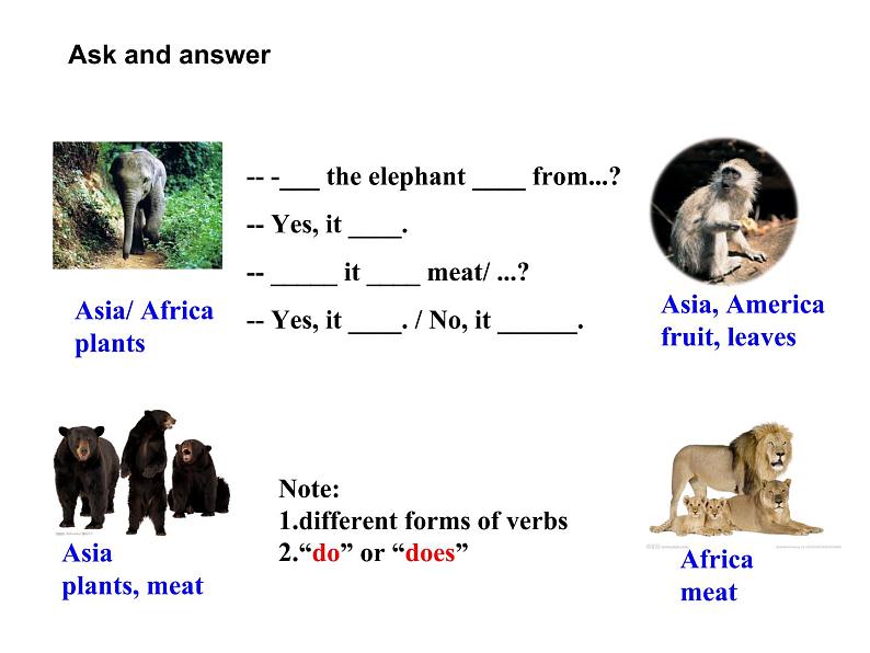 Module 6 A trip to the zoo  Unit 2 The tiger lives in Asia. 课件(共23张PPT)03