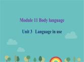 Module 11 Body language Unit 3 Language in use课后习题课件28张