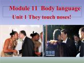 外研版英语七年级下册 Module 11 Unit 1 They touch noses!  课件（15张PPT）
