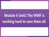 Module 6 Unit2 The WWF is working hard to save them all.同步课件（15张PPT）