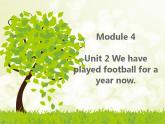 Module 4  Seeing the doctor Unit 2  We have played football for a year now課件共19張PPT 導學案(無答案）