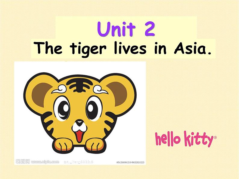 外研版初中英语七年级英语module 6 a trip to the zoo unit 2 the tiger lives in asia 课件（共28张PPT）01