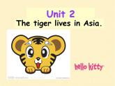 外研版初中英语七年级英语module 6 a trip to the zoo unit 2 the tiger lives in asia 课件（共28张PPT）