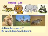 外研版初中英语七年级英语module 6 a trip to the zoo unit 2 the tiger lives in asia 课件（共28张PPT）