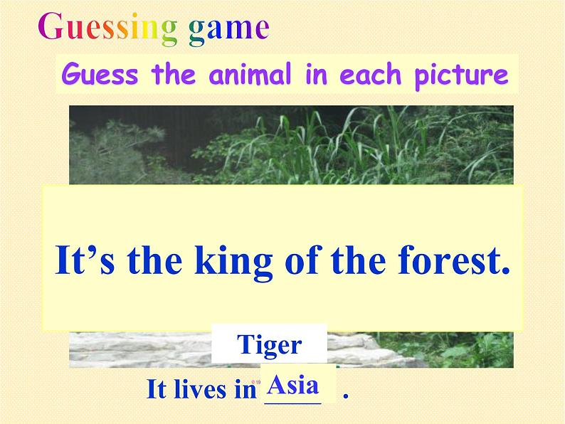 外研版初中英语七年级英语module 6 a trip to the zoo unit 2 the tiger lives in asia 课件（共28张PPT）03