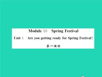 初中英语外研版 (新标准)七年级上册Module 10 Spring Festival综合与测试习题课件ppt