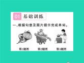 外研版英語七年級上 Module 10 Spring Festival習(xí)題課件（10份打包）