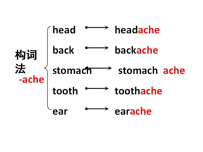 外研八下 Module 4 Seeing the doctorUnit 1 I haven't done much exercise since I got my computer.课件（18张PPT）第7页