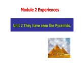 外研版八年级下 Module 2 Experiences Unit 2 They have seen the Pyramids. 课件(共46张PPT)