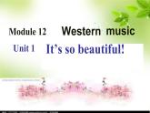 外研七下 Module 12 Western music Unit 1 It's so beautiful  课件