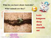 外研版初中英语九年级上册Module 10 Australia Unit 1 I have some photos that I took in Australia last year.课件（共21张