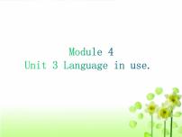 外研版 (新标准)九年级上册Module 4 Home aloneUnit 3 Language in use教课内容ppt课件