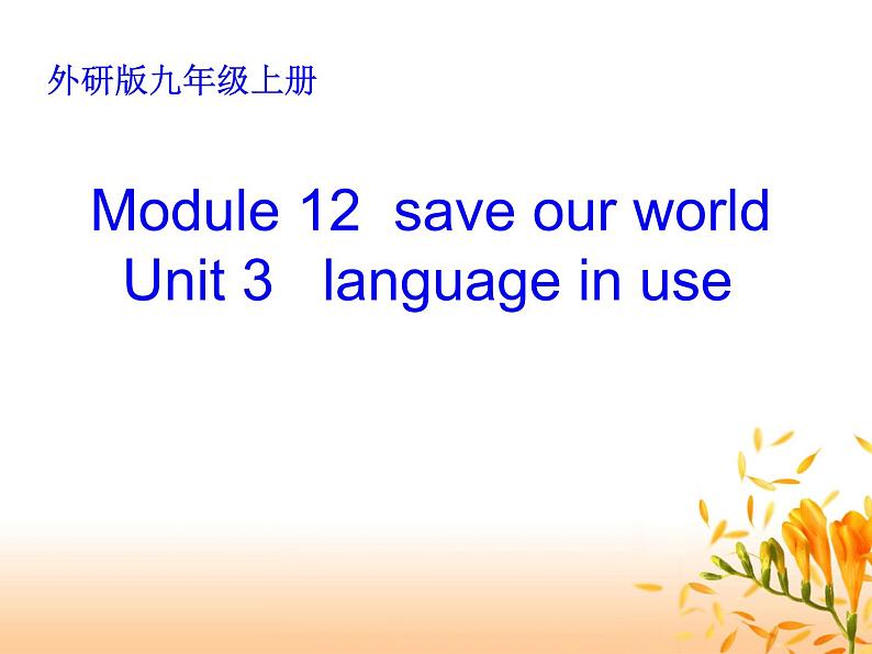 外研英语九上 Module 12 Unit 3 Language in use.课件26张PPT01