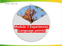 初中英语外研版 (新标准)八年级下册Module 2  Experiences综合与测试示范课课件ppt