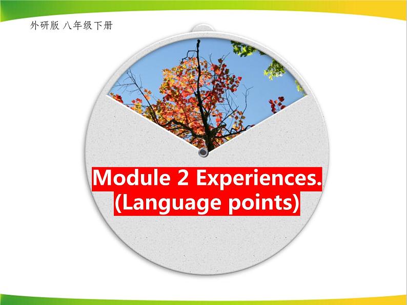 Module 2 Experiences 全模块 Language points.课件（15张PPT）01