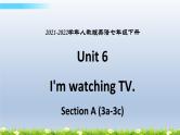 人教新目标七年级下册英语-- Unit 6 Section A (3a-3c) 课件