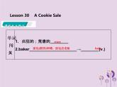 冀教版八年级英语下册Unit 5课件 lesson 30