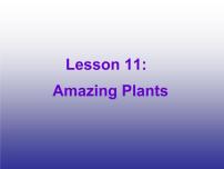 英语八年级下册Lesson 11 Amazing Plants备课课件ppt