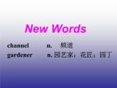 冀教版八年级英语下册Unit 2课件 lesson 9