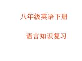 2021-2022学年外研版英语八年级下册语言知识复习课件(共18张PPT)