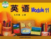 2021-2022学年外研版英语九年级上册Module 11 Photos Unit 2 The photo which we liked best was taken by Zhao Min.知识点
