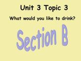 仁爱科普版七年级上Unit 3 Getting together Topic 3 What would you like to drink_  SectionB课件（16张ppt）