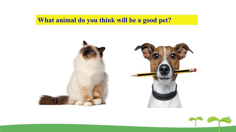 英语译林版 7年级下册 U8 Welcome to the unit PPT课件08