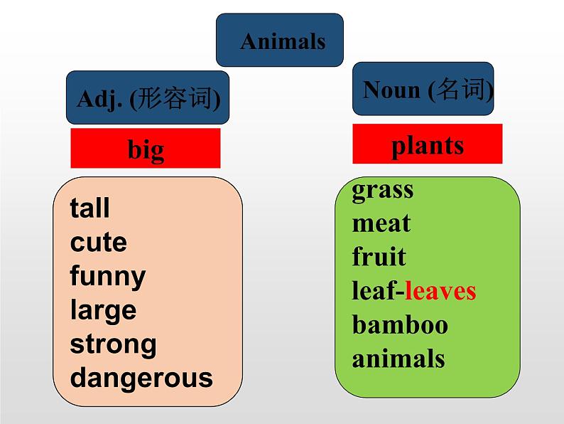 module 6 a trip to the zoo模块复习第3页