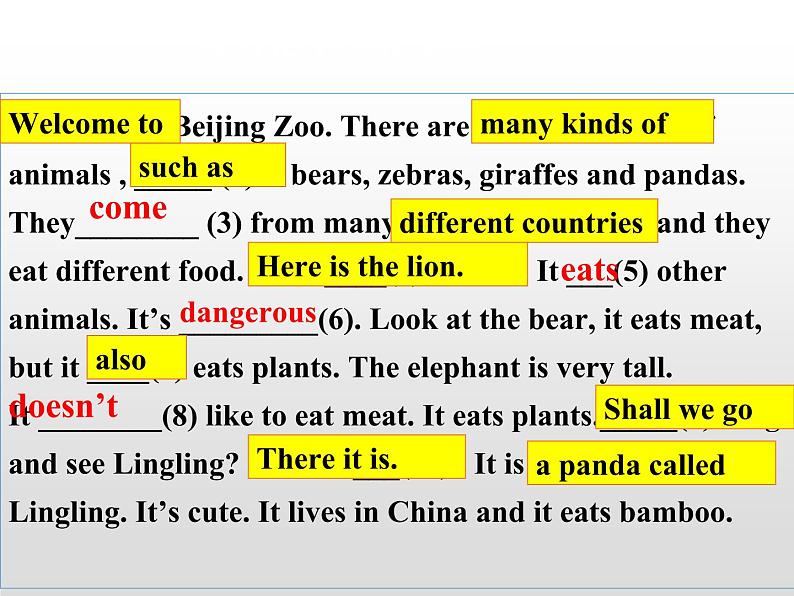 module 6 a trip to the zoo模块复习第7页