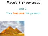 2020-2021学年外研版英语八年级下册Module2Unit2课件