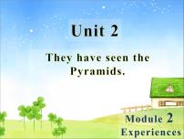 外研版 (新标准)八年级下册Unit 2  They have seen the Pyramids.课文课件ppt