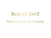 Module2Unit2TheyhaveseenthePyramids重点知识点讲解及练习课件2020-2021学年外研版英语八年级下册